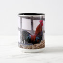 Recherche de rooster tasses Poulets