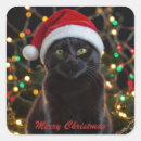 Recherche de chapeau père noël autocollants Chat noir