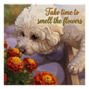 Recherche de paisibles posters Fleurs
