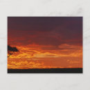 Recherche de acacia cartes postales Paysage