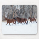 Recherche de troupeau chevaux tapis souris Quarter horse