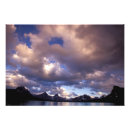 Recherche de jasper posters Parc