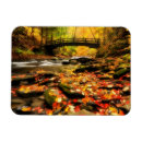 Recherche de automne magnets Roche