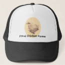 Recherche de poussin casquettes Oiseaux