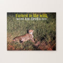 Recherche de cheetah puzzles Faune