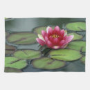 Recherche de nénuphar cuisine linges Fleur