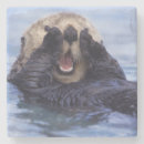 Recherche de loutre dessous de verres Aquatique