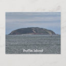 Recherche de macareux cartes postales Île