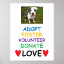 Recherche de délivrance posters Amour