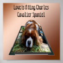Recherche de cavalier posters Espagne