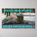 Recherche de komodo posters Reptile