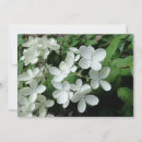 Recherche de monogrammes toutes vœux cartes Toutes les occasions