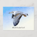 Recherche de mouette en vol cartes postales Aquarelle