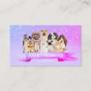 Recherche de de petsitter Vétérinaire