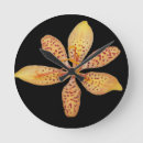 Recherche de iris horloges Rouge