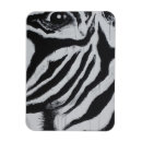 Recherche de zebre magnets Pour tous