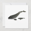 Recherche de cétacés vœux cartes Nature
