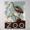 Recherche de visite posters Animal