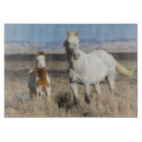 Recherche de cheval planches à découper Chevaux