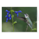 Recherche de oiseau de ronflement Fleur