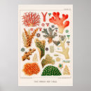 Recherche de barrière art Océan