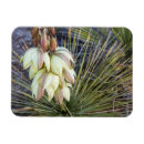 Recherche de floraison magnets Macro