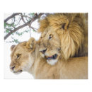 Recherche de nature copie posters L'afrique