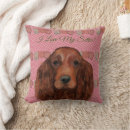 Recherche de acajou coussins Setter