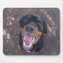 Recherche de rottweiler tapis souris Rotation
