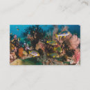 Recherche de espèce marine cartes visite Océan