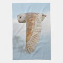 Recherche de rapace cuisine linges Oiseaux