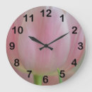 Recherche de fleurs de tulipes horloges Rose