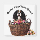 Recherche de compagnon animal magnets Chiot