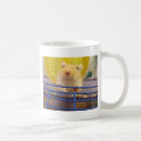 Recherche de gerbilles tasses Animal familier