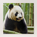 Recherche de panda puzzles Forêt de bambou