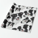 Recherche de de border collie papier cadeau Canin