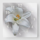 Recherche de lis horloges Vert