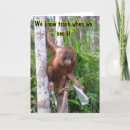 Recherche de humour de divorce cartes postales Relations