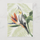 Recherche de oiseaux noirs cartes postales Fleur