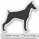 Recherche de blanc dobermann Dobie