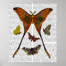 Recherche de plaques posters Papillon