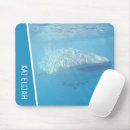 Recherche de baleines tapis souris Requin