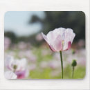 Recherche de fleurs lilas tapis souris Floraison
