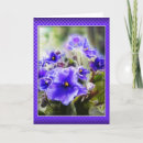Recherche de violettes africaines vœux cartes Fleurs