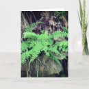 Recherche de ferme toutes vœux cartes Toutes les occasions