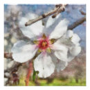 Recherche de floraison posters Rose