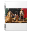 Recherche de agricole carnets Chèvre