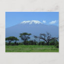 Recherche de kilimanjaro cartes postales Du mont kilimanjaro