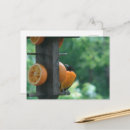 Recherche de fruit heureux cartes postales Coloré