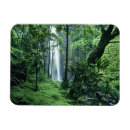 Recherche de chute refrigérateur magnets Forêt tropicale